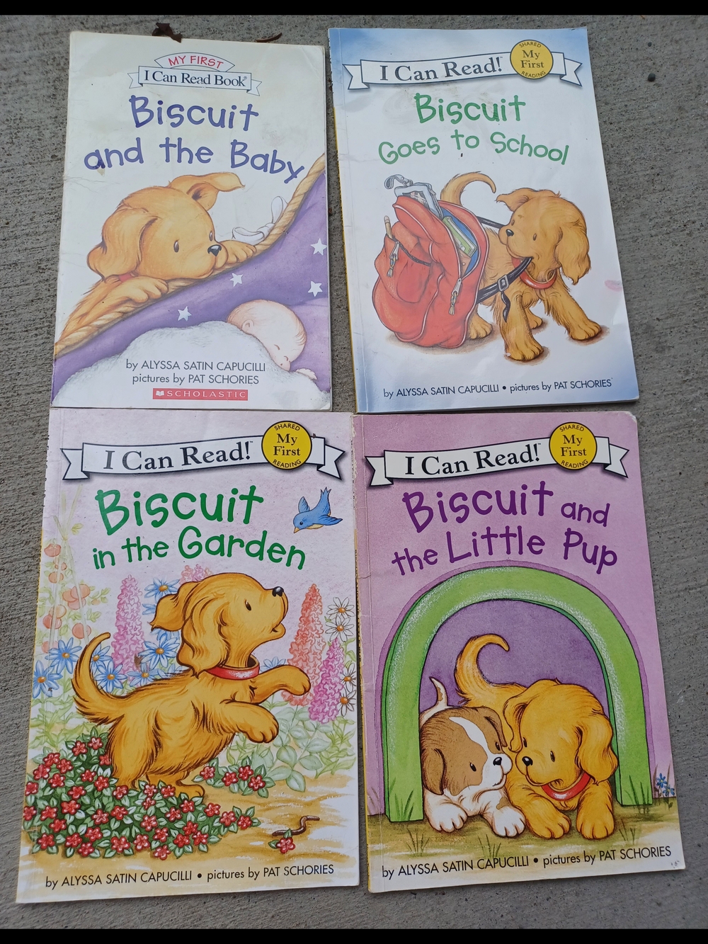 4 Biscuit Books